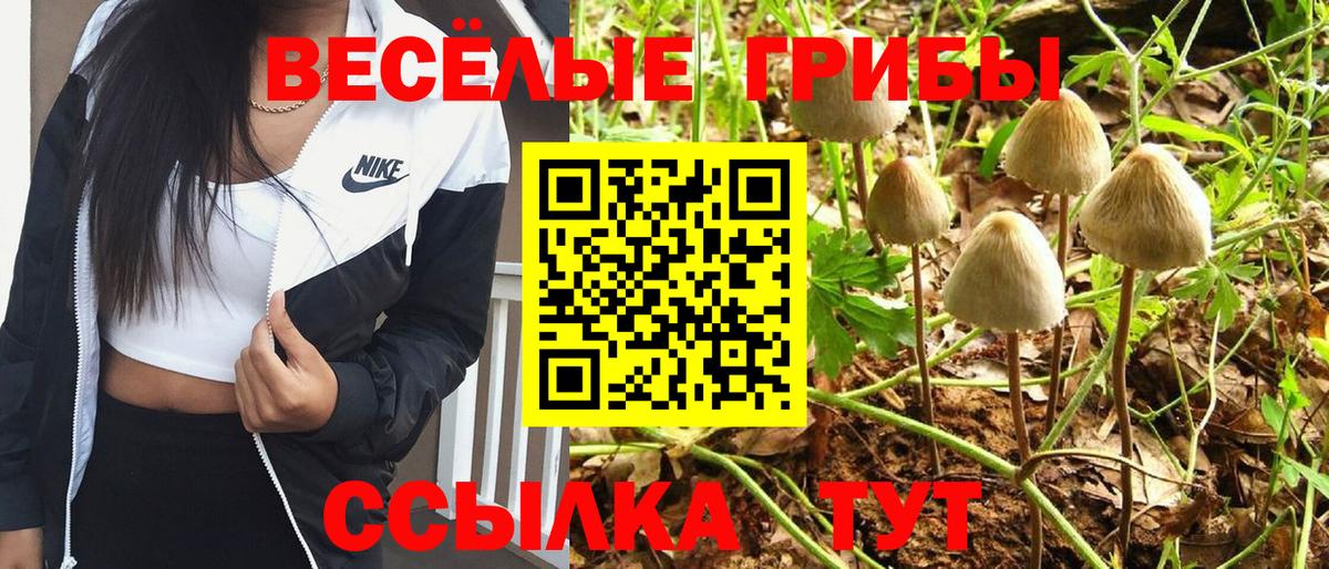 Псилоцибиновые грибы Cubensis  Галлюциногенные грибы MAGIC MUSHROOMS  Вход с VPN  Нальчик 